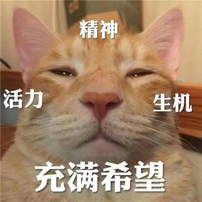 首首精选vs迪拜之夜(Funk_House_Remix)高音质