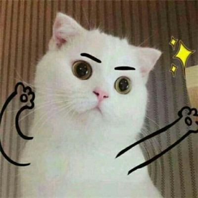 暴林-下定决心忘记你-DJ何鹏
