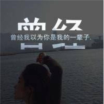 徐小凤-月亮光光(天涯孤客)(ZiPing.HElectroMix)粤语