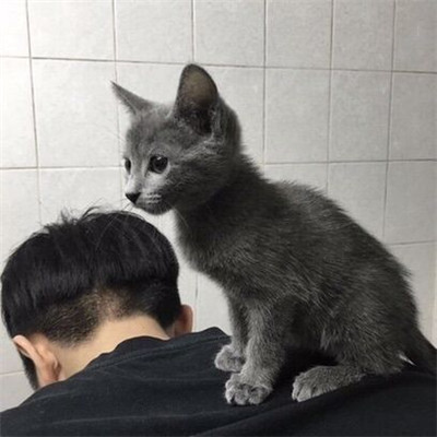 快四 云菲菲 小小新娘花 Dj混音