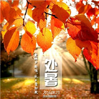 飘雪 DjPad仔