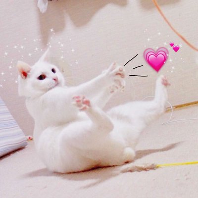 中英文慢歌连版音乐陈婷精选热门抖音串烧 韶关Dj小敬