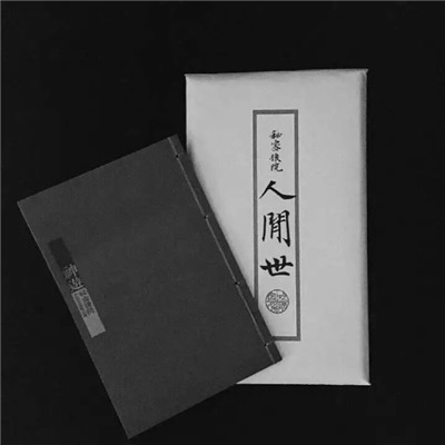 向思思 苏二墨 - 风吹故乡岸(山口Dj娜娜 阿光 Electro Rmx)