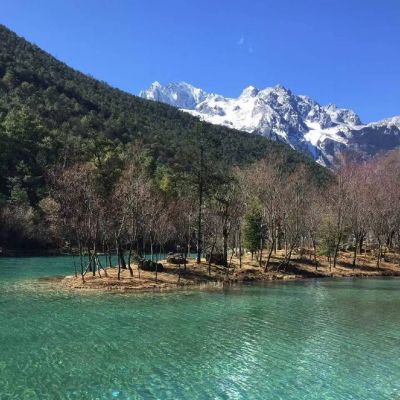 DJ大宝-全中文PROG金牌咚鼓苹果香无心睡眠纯享版MUSIC慢摇大碟