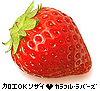 Think of You(Vanh LakHouse Rmx)