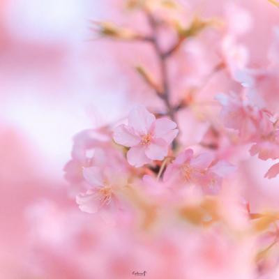 引领世界迪厅潮流的终极慢摇嗨曲House串烧舞曲 Dj陈小虎